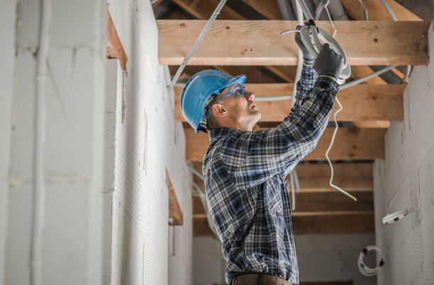 Best Electrician for Home Renovation  in Humboldt, IA